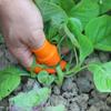 Fruit And Vegetable Picking Potted Plants Pruning Silicone Thumb Portable Gardening Tools