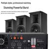 KaYouLa Professional Digital Power Amplifier