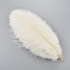 10Pcs/Lot 30-35cm Ostrich Feathers for Crafts White Feathers for Vases Wedding Party Decoration Handicraft Accessories DIY Plume