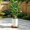 Outdoor Planter Tray with Wheels Round Wood Plant Caddy Wheels, Heavy Duty Rolling Stand Weather Resistant Roller for Garden Casters, Movable