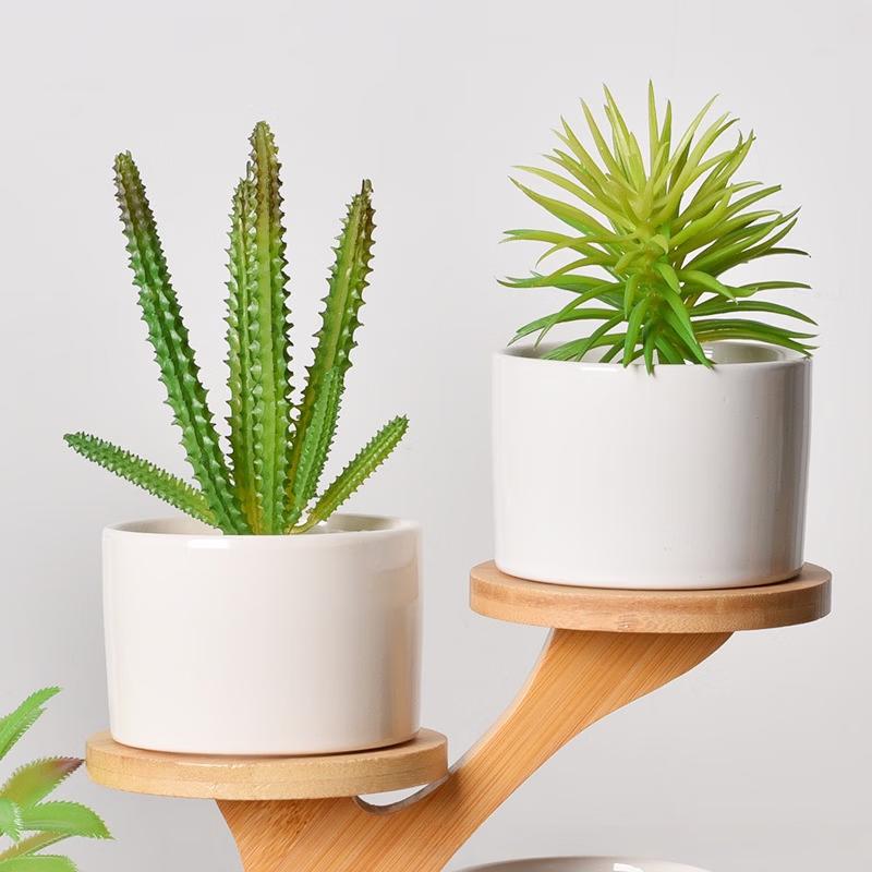 MOJY Minimalist Ceramic Succulent and Orchid Planter