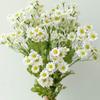 Nordic Influencer Chamomile Daisy Artificial Flowers for Decor and Photography