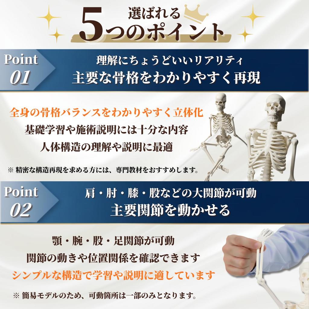 After7 1/4 Scale Full Body Skeleton Model, Miniature Human Body Model, 45cm, Tabletop Skeleton Specimen, Bone Model, Movable Joints