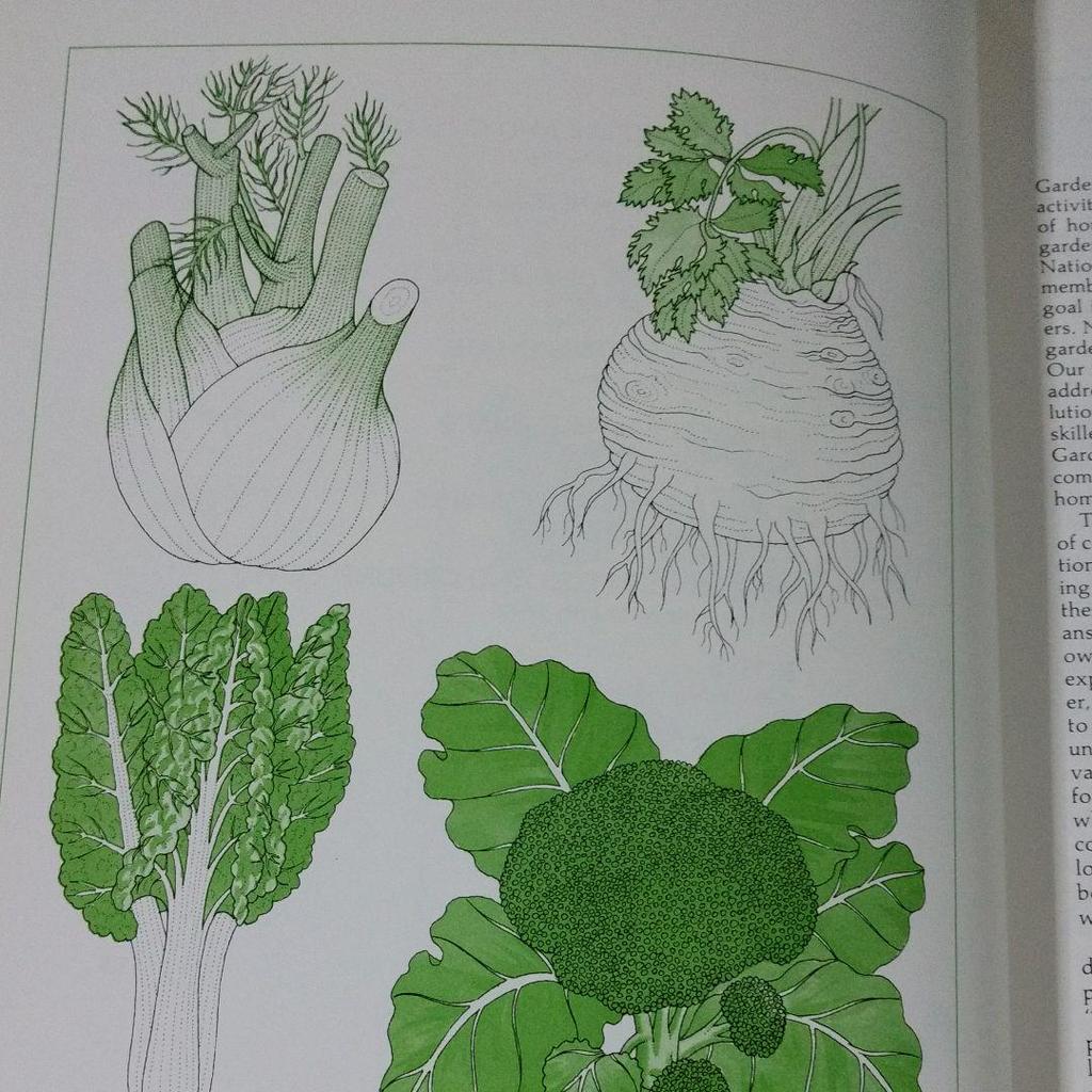 [USED] Gardener's Questions Answered