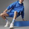 Adidas Originals Blue Version Collection Sweatshirts Men's Blue Hooded Moderate Regular H33459-