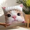Cute Funny Internet Meme Cat  Pillow Case Linen Cushion Covers For Decorative Sofa Home Pillows Case Car Chair Pillows Cases