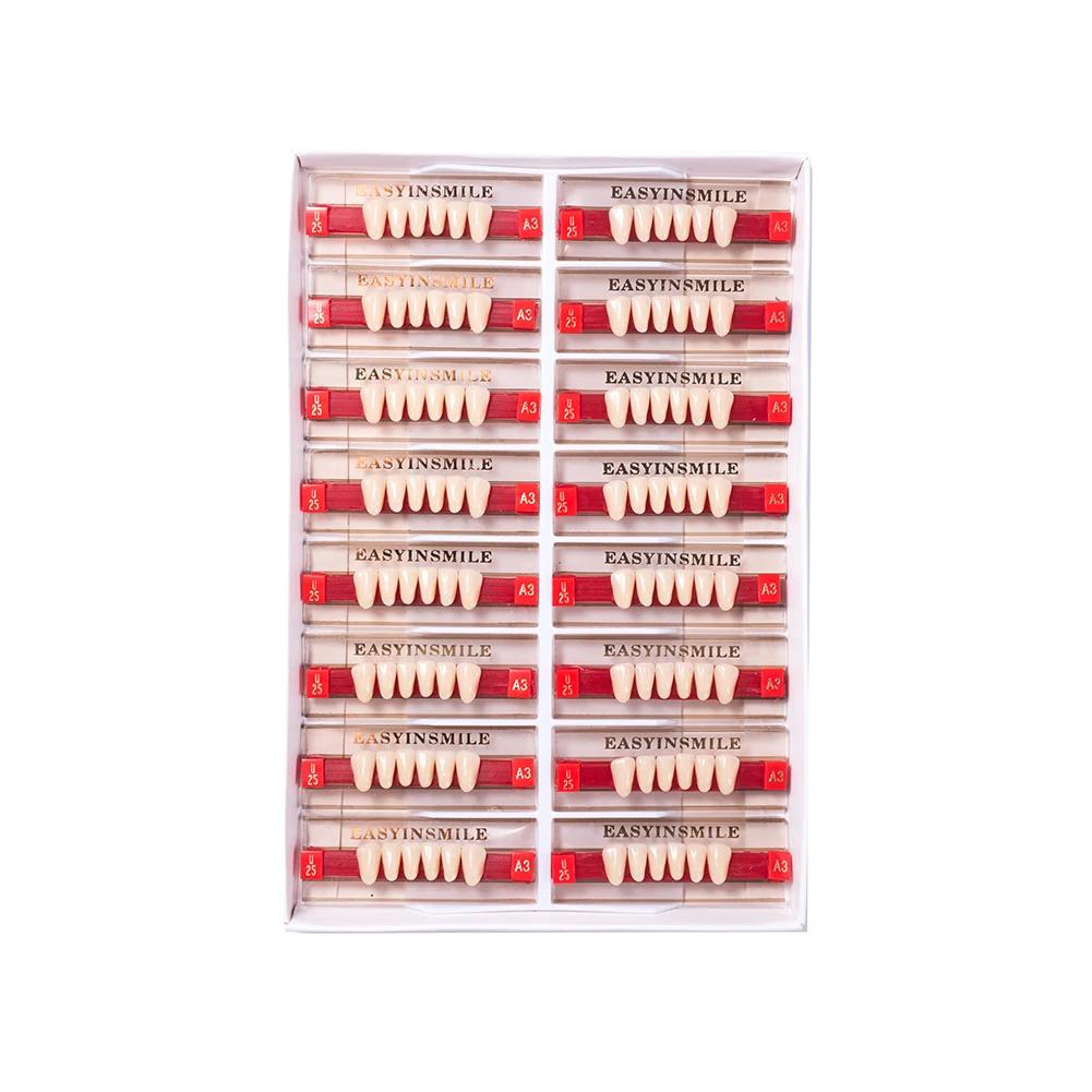 16/12 Sätze/Karton Zahnprothese Zähne Oberkiefer Frontzähne Unterkiefer Seitenzähne Dentier Synthetisches Polymerzähne Zahnmedizinische Ausbildungsmodell