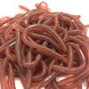 18Cm 5G Simulated Insect Model Tpr Soft Rubber Small Animal Pseudo Long Earthworm Pseudo Red Worm Toy