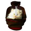 Autumn Cute Cat Pattern 3D Printed Hoodies Fashionable Casual Sports Long Sleeved Men's Hooded Sweatshirts