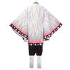 Costume Cosplay Demone Kochou Kanae Adulto Anime Kimetsu No Yaiba Shinobu Kochou Vestiti di Halloween