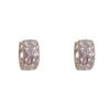 Female Niche Exquisite Fashionable Simple Earrings