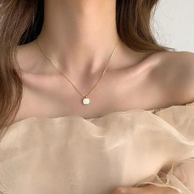 1 Pcs Light Luxury Temperament Shell Necklace Design Sense Mother of Pearl Buckle Chain Internet Famous Exquisite New