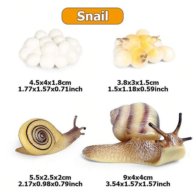 4pcs Mini Animal Plant Growth Cycle Tabletop Ornaments Plastic ABS Growth Process Model Family Decorations Animal Model Set TMZ