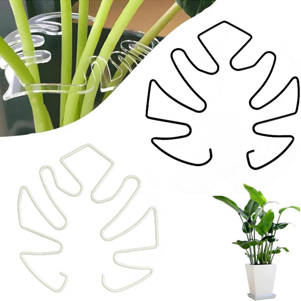 Monstera Plant Trellises Stakes Vertical Growth Support Holder for Indoor and Outdoor Plant Monstera Flowers