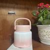 Portable Stainless Steel Thermal Food Jar