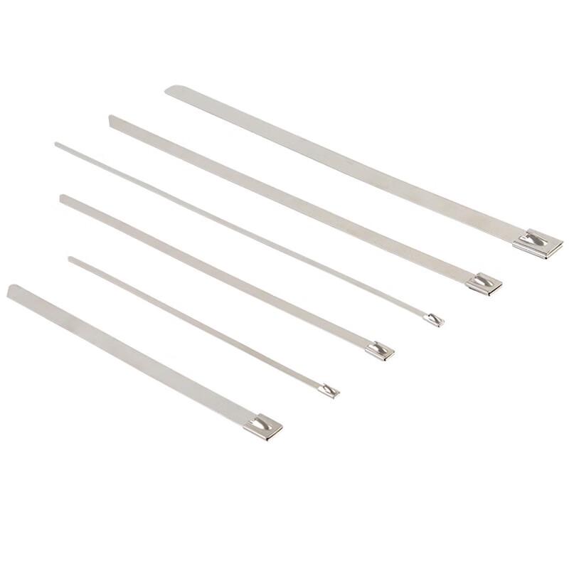 Fuxing 304 Stainless Steel Self-Locking Cable Ties