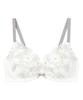 Amphi Wacoal BLH384 Pushes Busts To Create Fits Up To G BLH384 IV E75 Bra, Series, Cleavage, Cup,