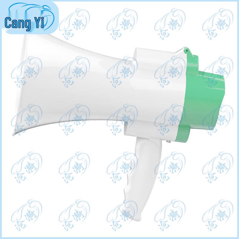 Handheld Recording Megaphone