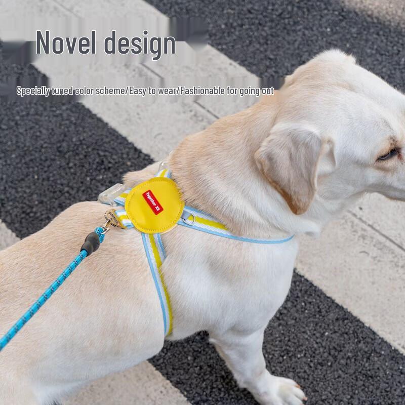 Yun Xiao Shi justerbar hundsele och koppelset