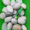 Polished White Natural Pebble Stones for Hydroponics, Fish Tanks, Landscaping, and Balcony Decor