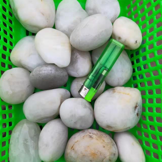 Polished White Natural Pebble Stones for Hydroponics, Fish Tanks, Landscaping, and Balcony Decor