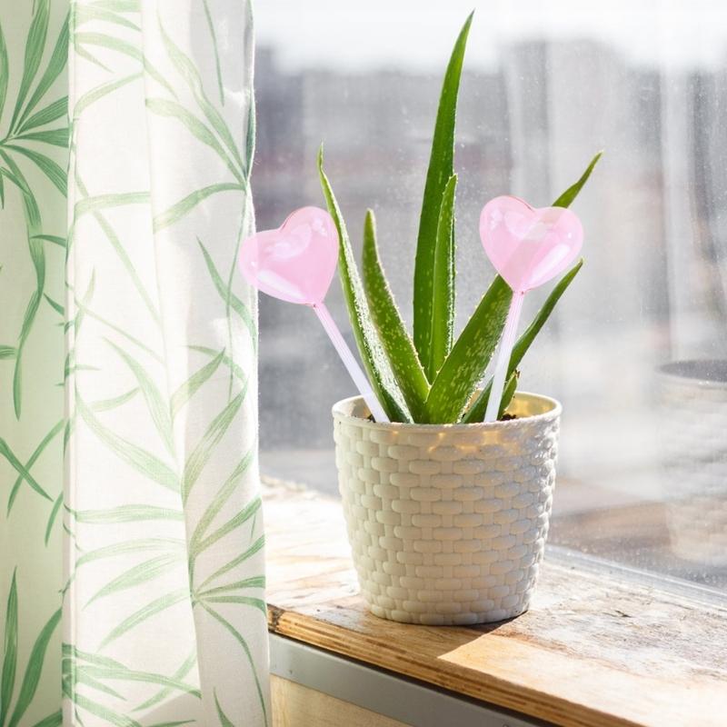 2Pcs Plant Glass Watering Globes Self Watering Globes Heart Shape Self Watering Bulbs Devices Plant Watering Bulbs