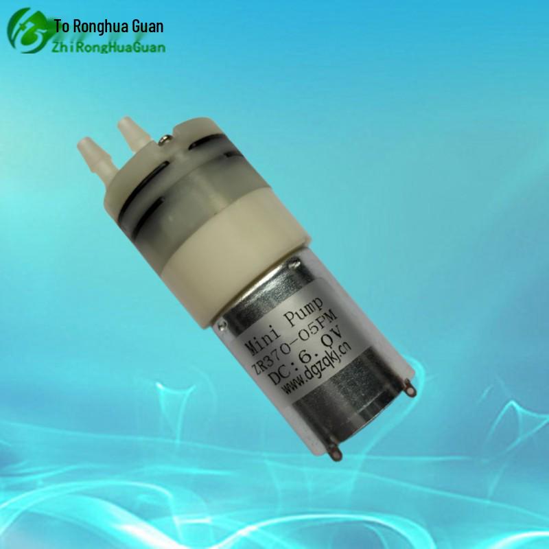 12V Mini Self-Priming Water Pump: High Suction & Head