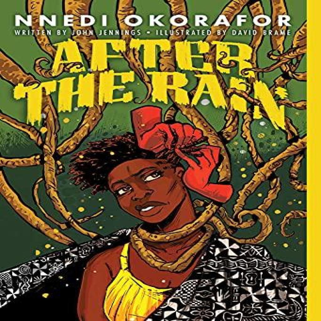 After the Rain by Nnedi Okorafor Paperback Book 9781419743566