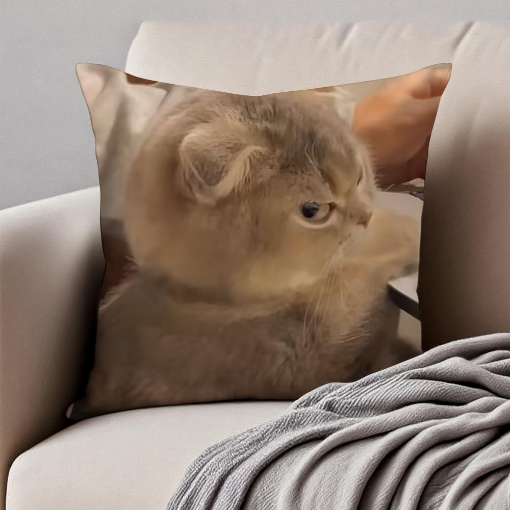 Meme Funny Pet Cat Funny Memes Cushion Cover Pillowcase Antidustmite Invisible Zipper Short Plush Sofa Cushion
