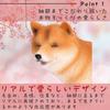 Alles Vertrauen Shiba Inu Shiba Inu Lustig Innen Hund Figur Merchandise, Figur, Kacka, Artikel, Dekor, (Rot, Kacka)