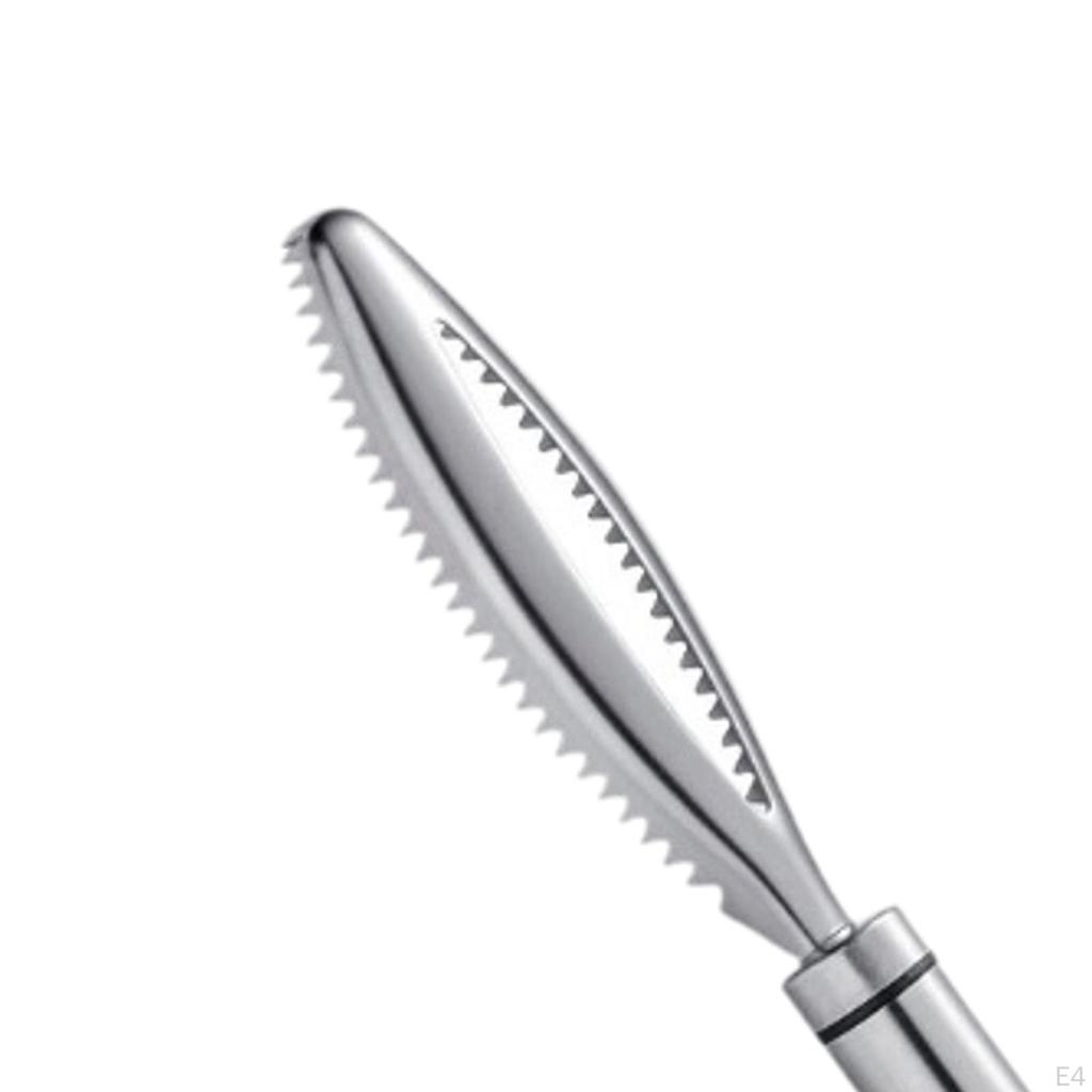 Effizientes Fischschuppenentfernungsgerät für die Zubereitung von Meeresfrüchten