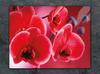 TAGLIERE IN VETRO 52x40 ORCHIDEA