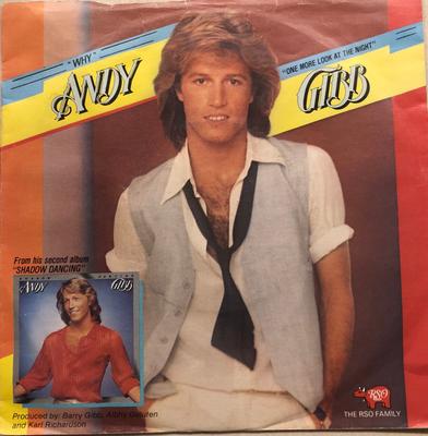 7palcová deska ANDY GIBB - Why / One More Look At The Night SRO22 RSO 1978 UK Rock Použitá