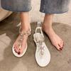 Women's Fashion Crystal Sandals 2024 Summer New Casual Elegant Women Banquet Party Luxury Designer Clip Toe Single Shoes