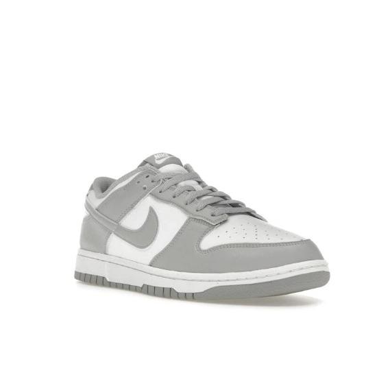 Nike Dunk Low Light Smoke Grey HF5441-105 Unisex