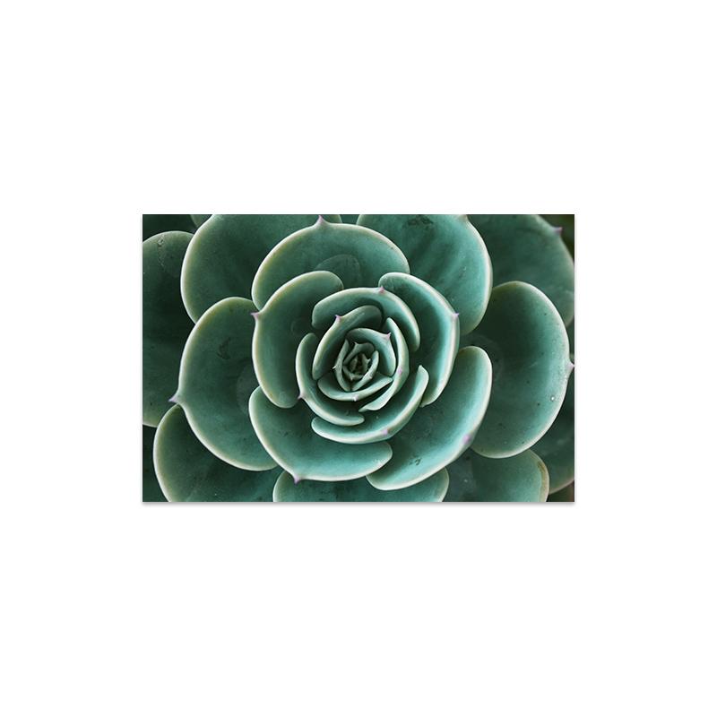 

Белый тюльпан, зеленая орхидея, алоэ, монстера, растение, холст, живопись, плакаты на скандинавскую тему и принты, настенные панно для декора гостиной 30x40cm No Frame