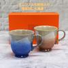 Waza No Kura Stylish Kutani Ware Coffee Mug Pair Set - Glazed Ceramic High-End Brand Tableware Made In Japan - Perfect Gift for Weddings, 60th Birthda