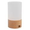 LED Table Lamp 3000K Warm Light Touch Control Stepless Dimming USB Charging Portable Bedside Night
