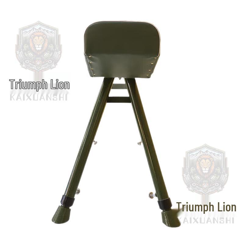 Gymnastics Vaulting Horse and Springboard