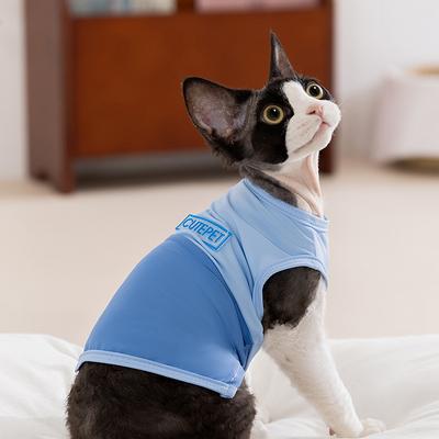 Abbigliamento e scarpe – Gilet e camicie per cani