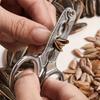 Ergonomic Nut Cracker Tool Non-Slip Pine Nuts Opener Easy To Use Walnut Opener  Kitchen Gadget