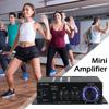 AK-280 12W Verstärker Stereo Audioverstärker Heim Mini Klasse RCA Verstärker D Autoradio 2025 Anschluss Z2L3