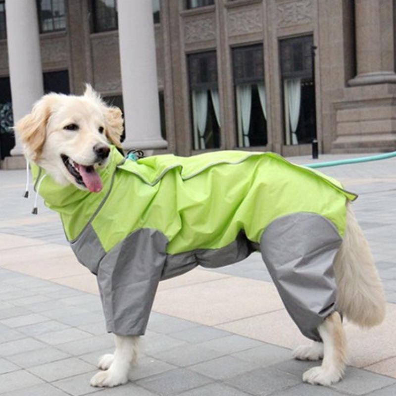 waterproof dog suit