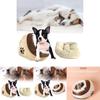 Cozy And Washable Cat Bed With Semi Enclosed Design For All Seasons In Brown And Gray