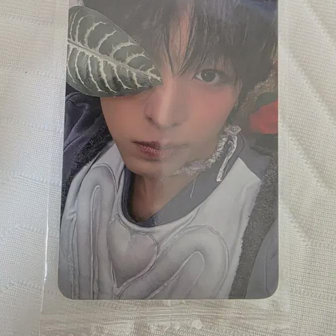 

Ktwon4u Lucky Draw Nct Wish Riku Photocard