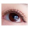 Lashie - Natural Multipack False Eyelashes