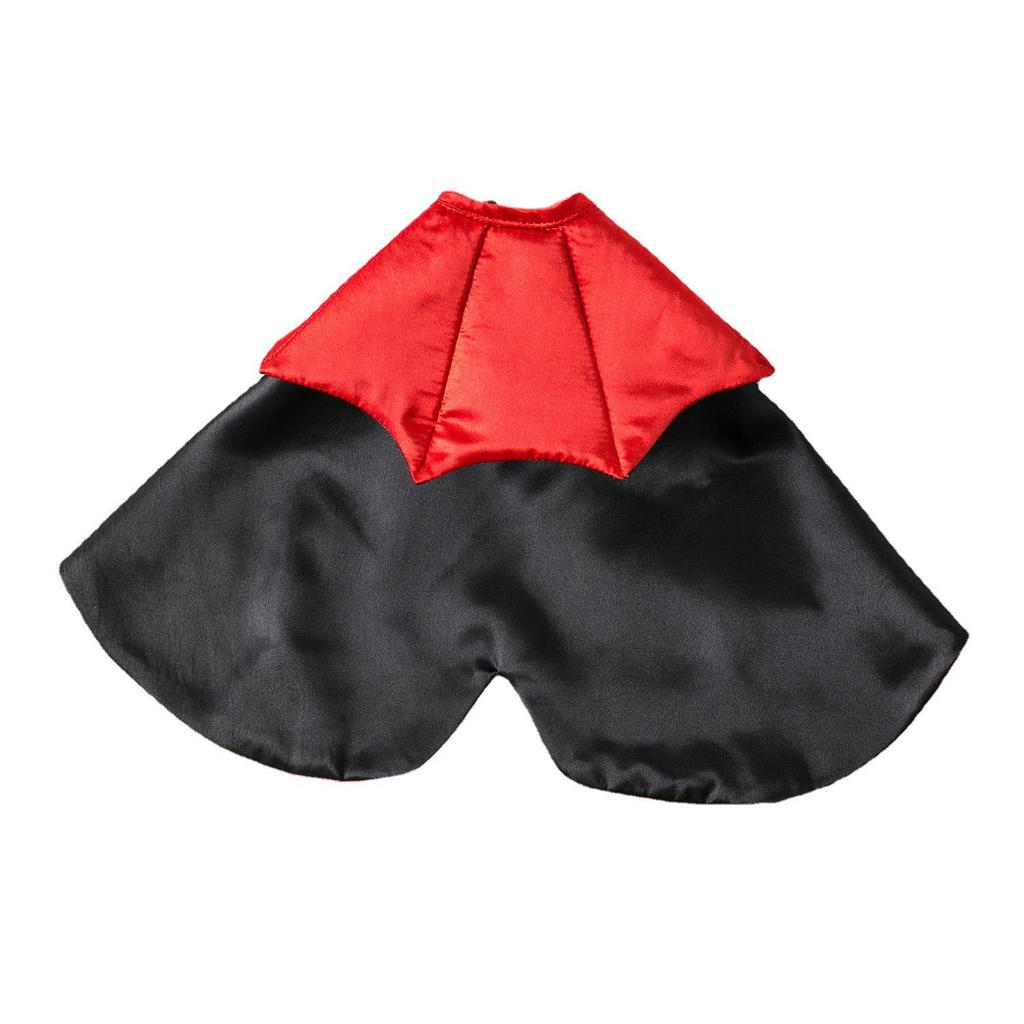 Cross-border Halloween Pet Costume: Witch Cape for Cats & Dogs