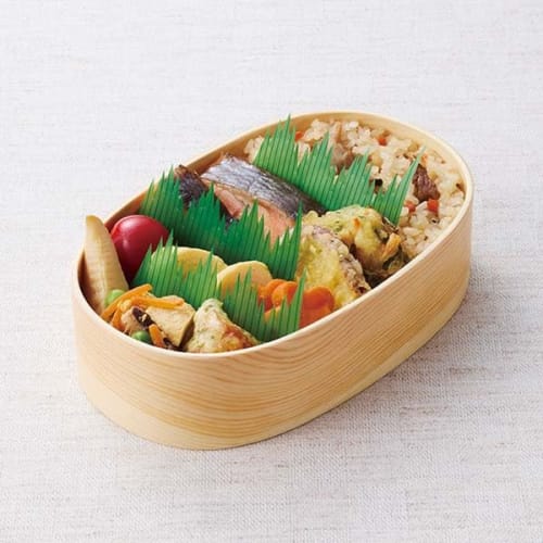 Torne Commercial-Grade Antibacterial Mountain-Shaped Balan (500 Count) In a Storage Case for Easy Storage, Perfect for Lunch Boxes, Made In Japan