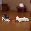 1pc Resin Cats Ornament Kitten Figurine Animal Miniature Fairy Garden Doll House Decoration DIY Micro Landscape Home Decor