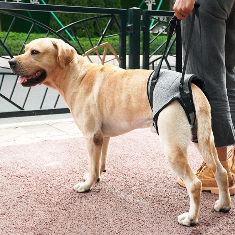 Convenient Dog Sling for Medium Large Dogs Back Support Dog Lift Harness for Injured Elderly Dogs Disabled Pet Supplies